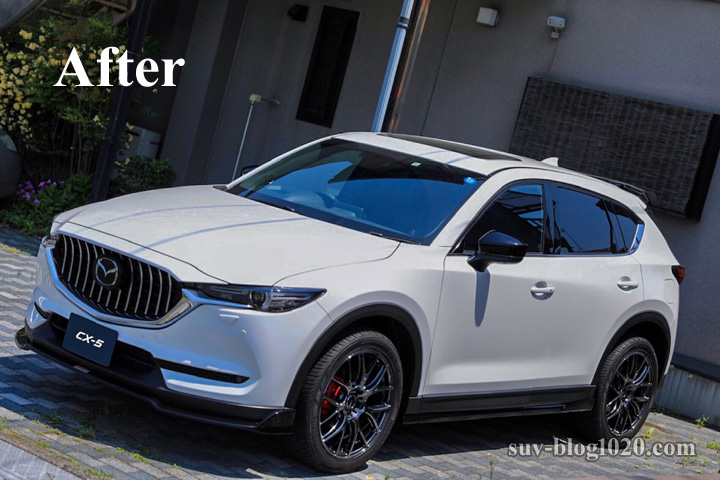 cx5-doorMirror-cover_10