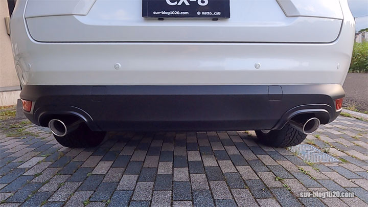 cx8-autoexe-garnish21