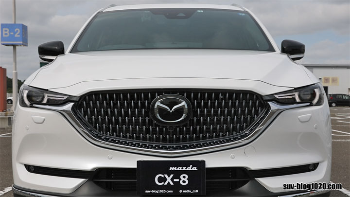 cx8-option-1year-4a