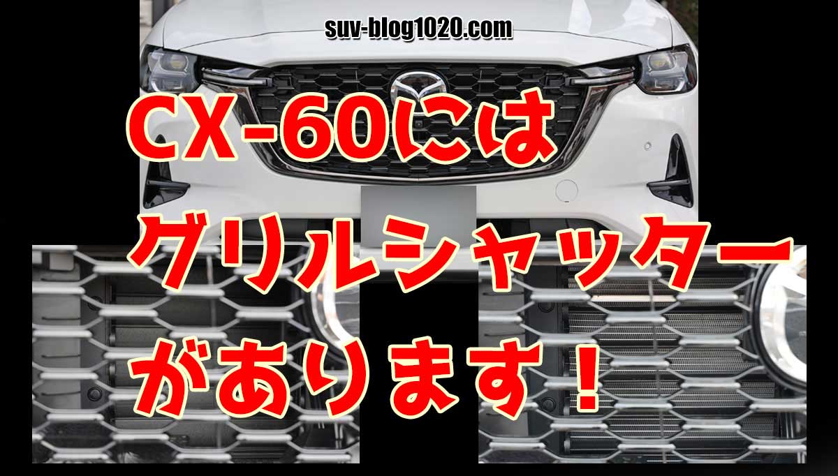 cx60-gril-shutter-eye2