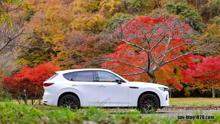 CX-60 納車後1年経過 紅葉とともに