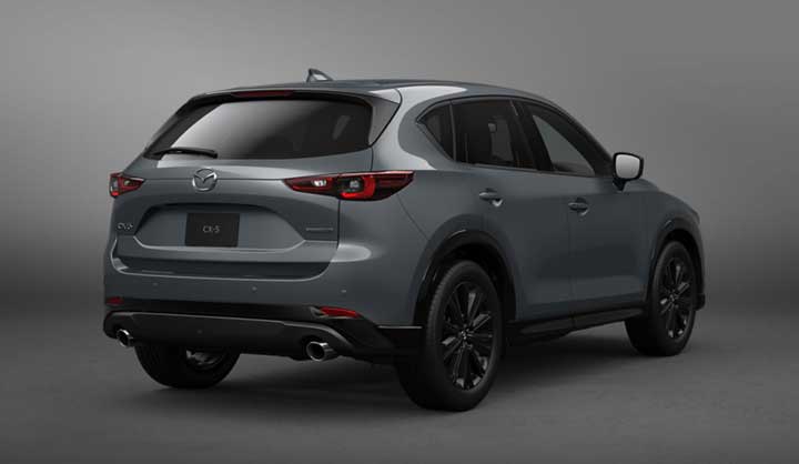 CX-5 ポリメタル リアサイド