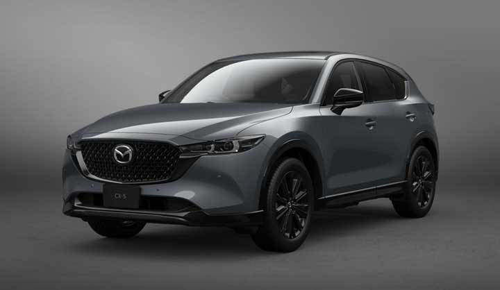 CX-5 ポリメタル