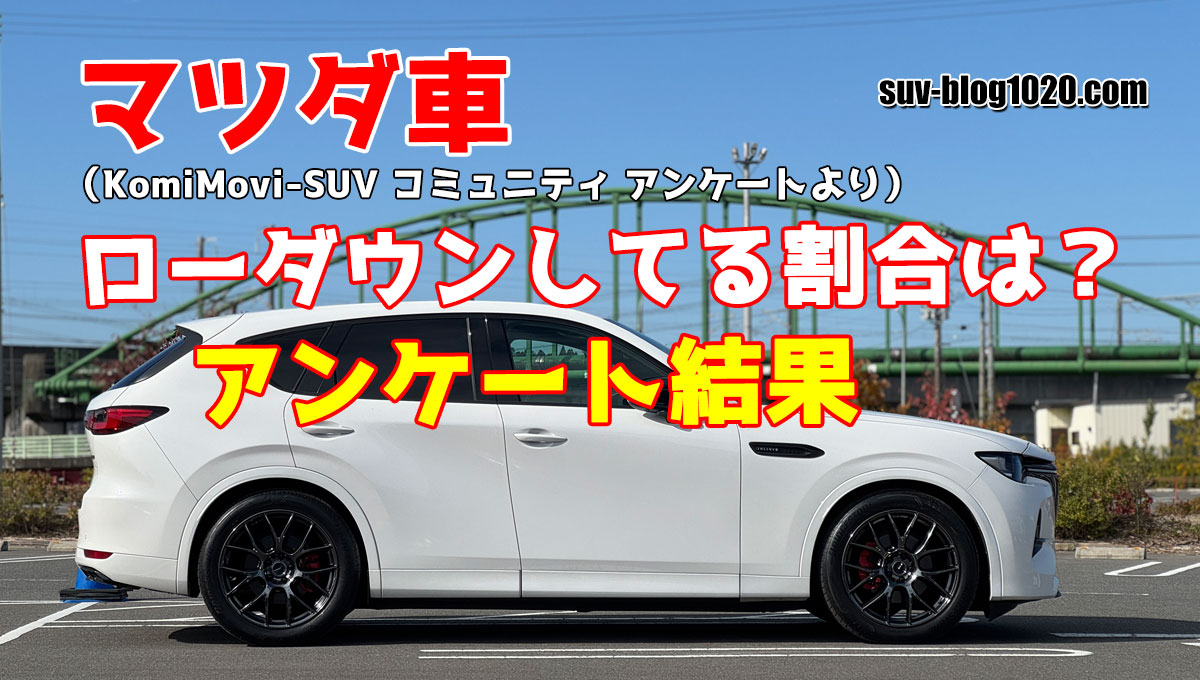 ローダウンしてる割合アンケート結果 アイキャッチ画像