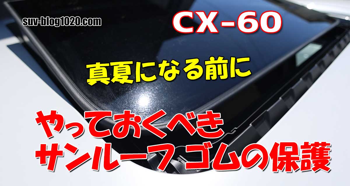 サンルーフゴムの保護 アイキャッチ画像